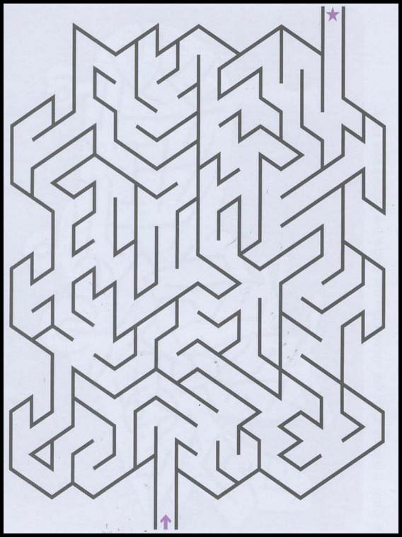 Labyrinthes 221